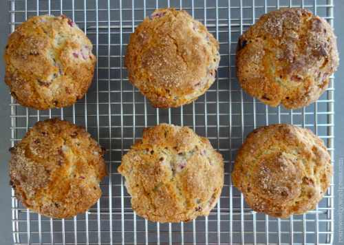 Lilly Pilly Muffins